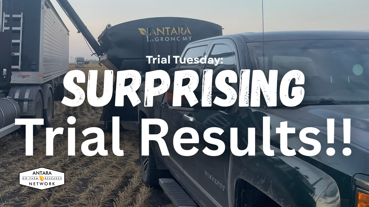 Day or Night Trials Are Coming Off the Field