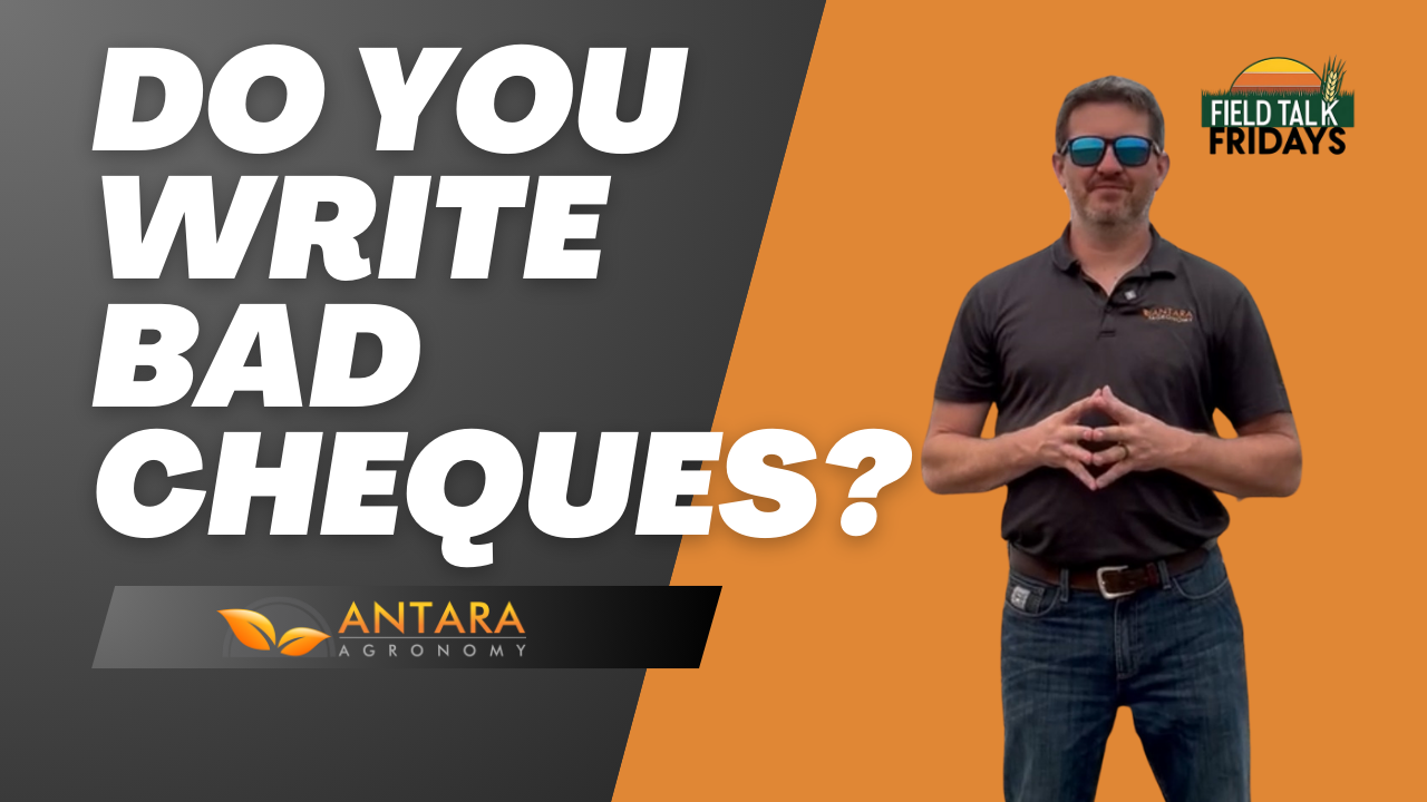 Do you write bad Cheques