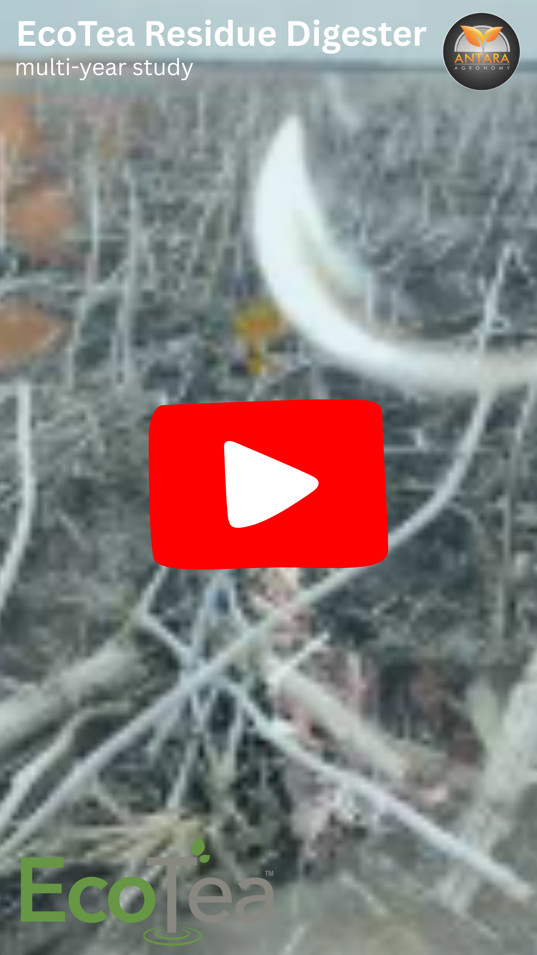 EcoTea Residue Digester