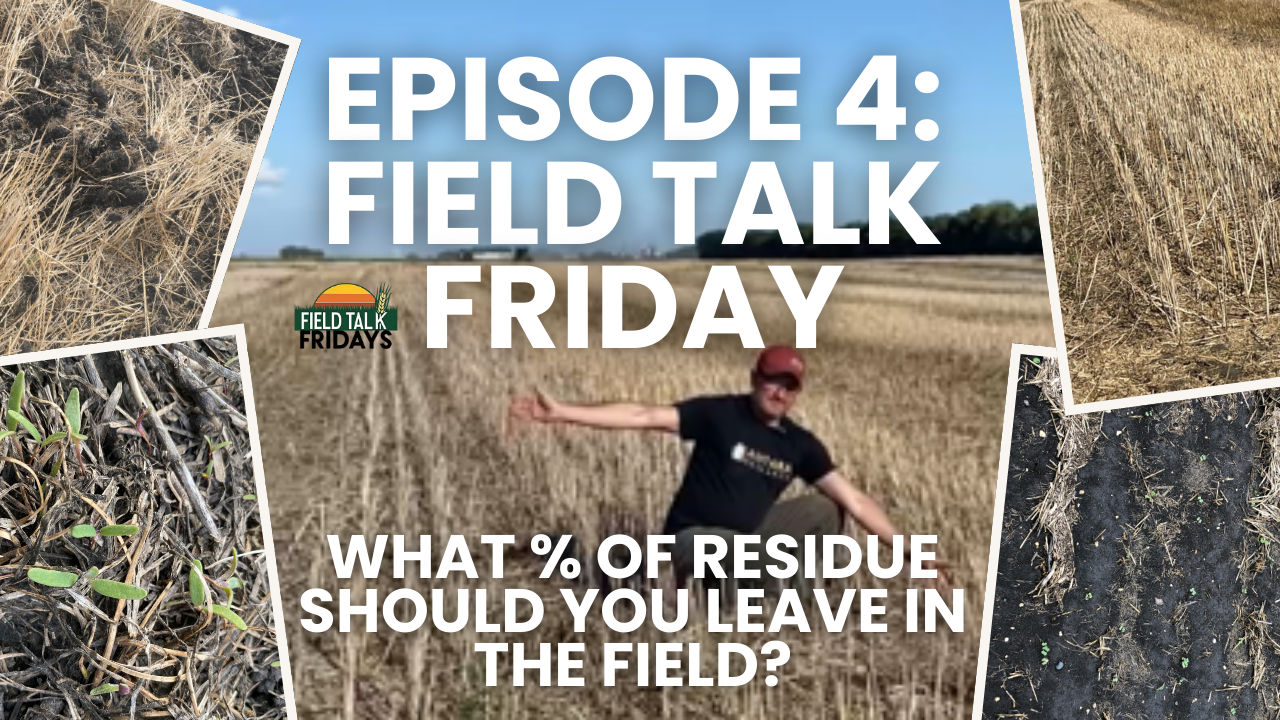 Episode  A Day in My Life