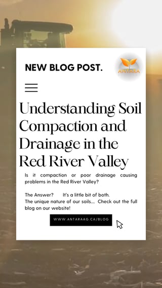 New Blog Post - October 2025