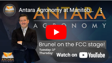 Screenshot 2025-01-17 124153