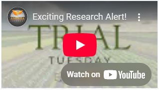 Screenshot 2025-03-18 144228