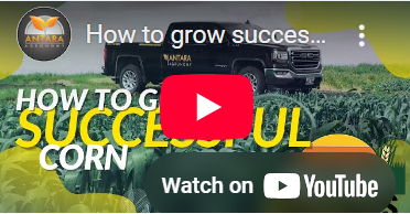 Screenshot 2025-05-01 210507