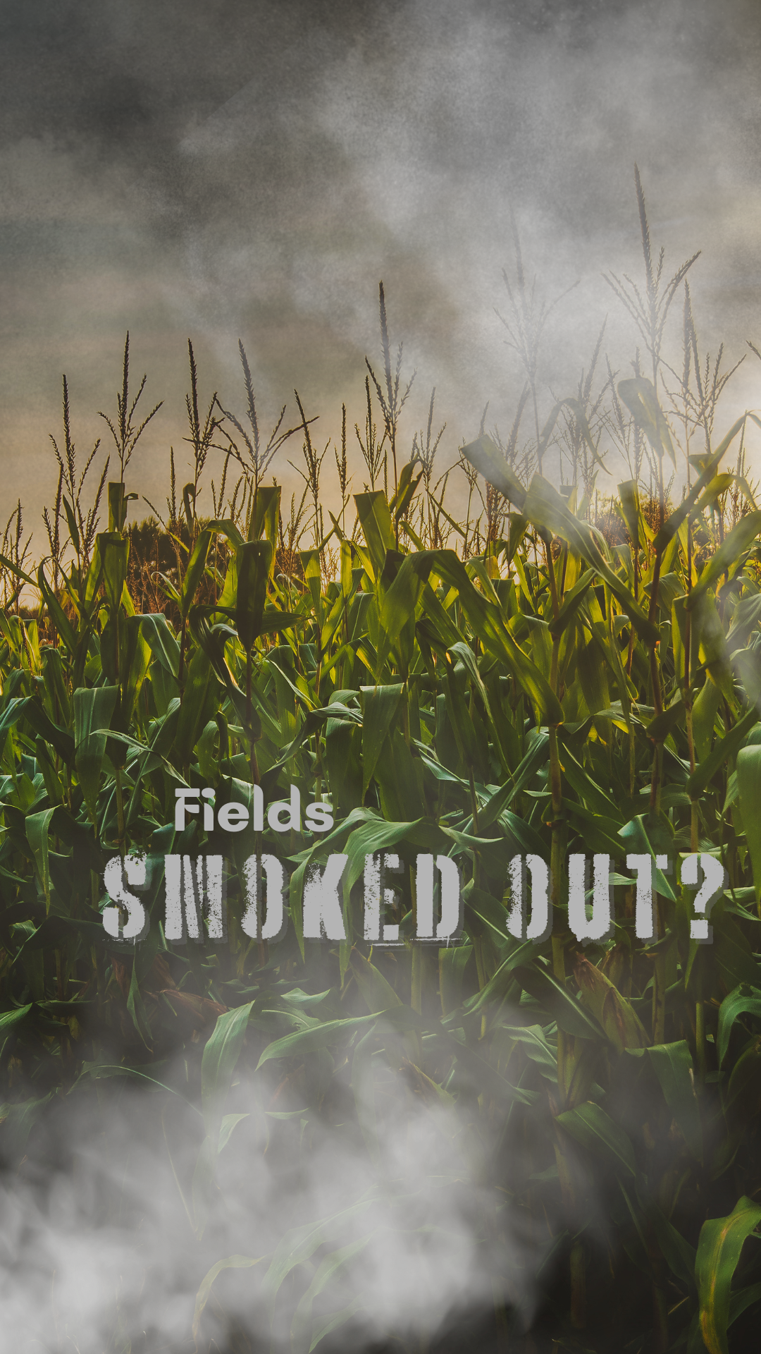 Untitled design (1)-2