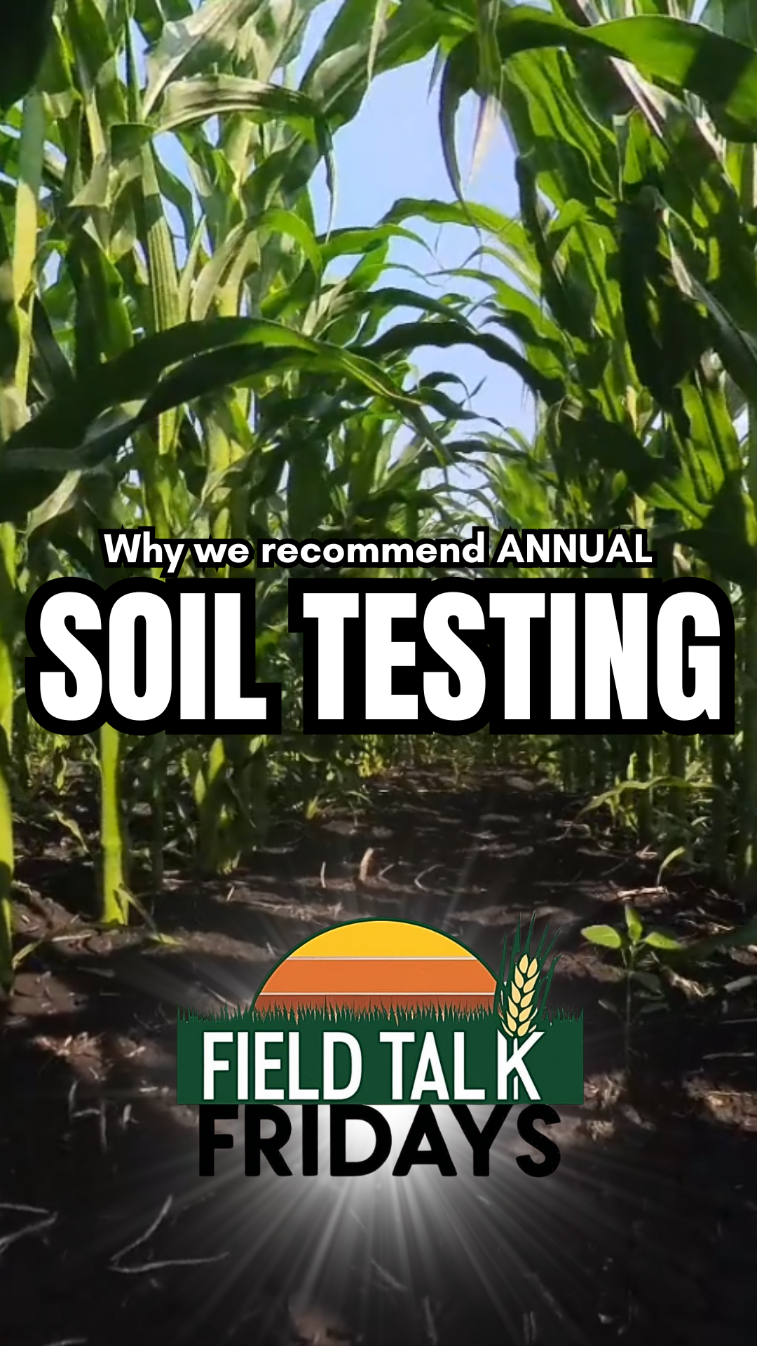 Untitled design (11)