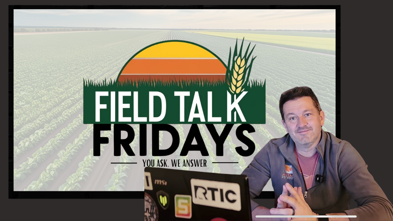 Untitled design (17)