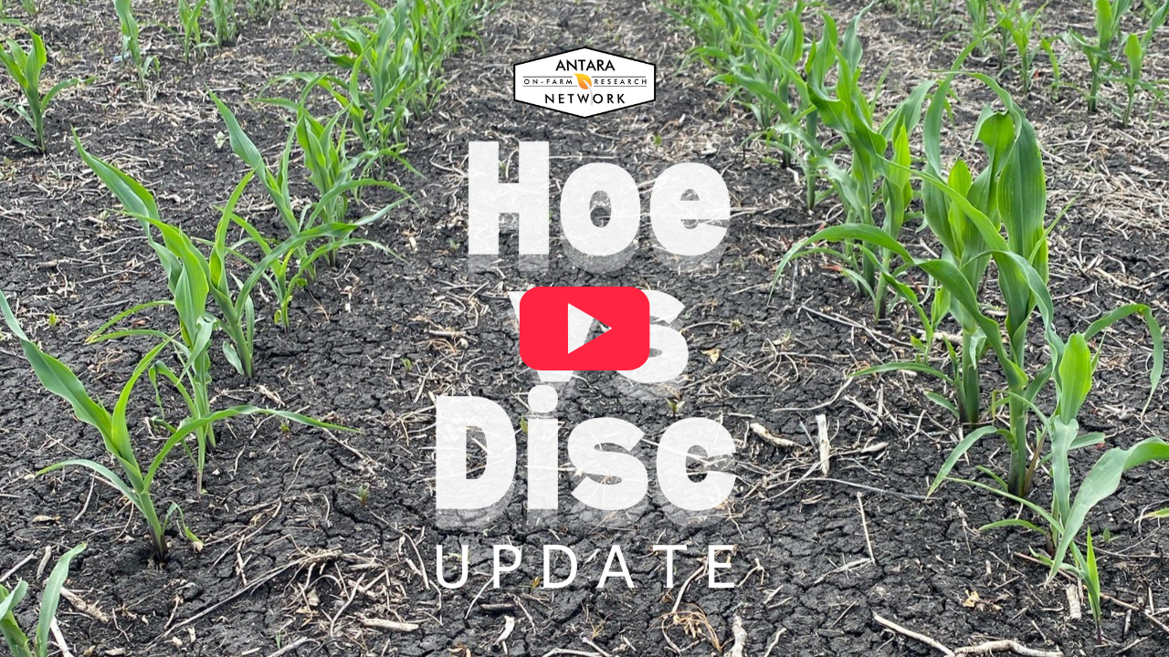 Untitled design (32)-1