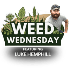 Untitled design (51)